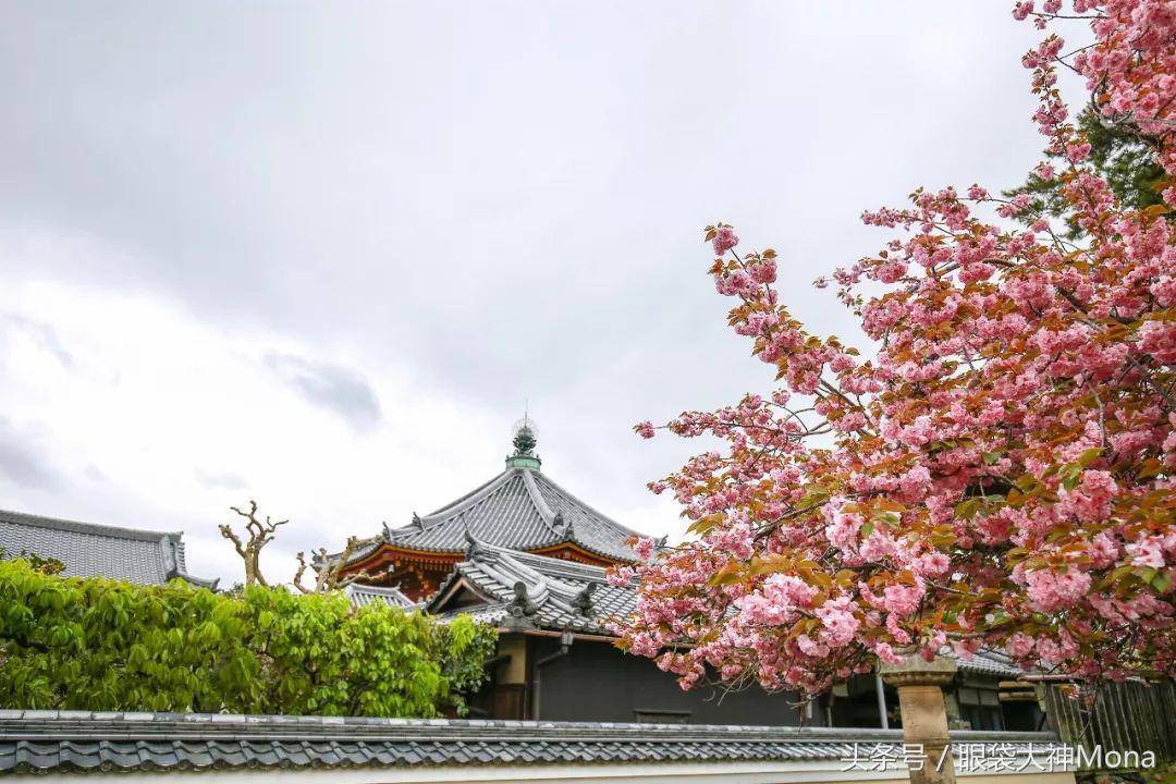 你有新的消息请注意查收,你有新的消息需要查收吗