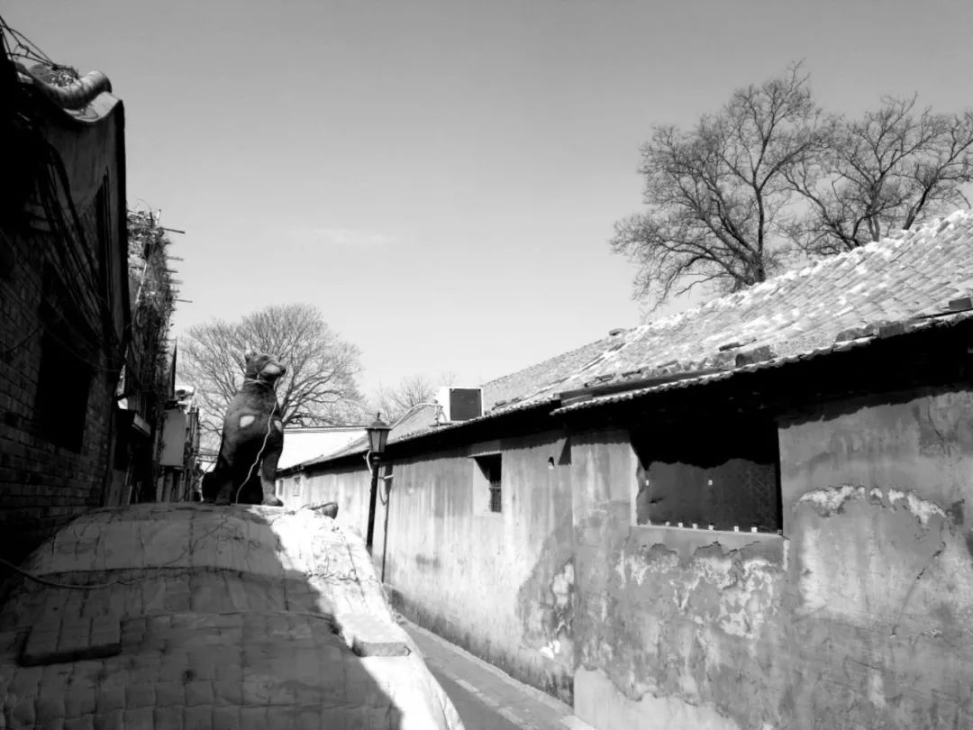 北京周边户外活动招募,外拍活动哪里找