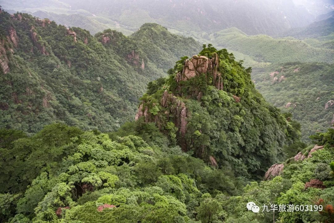 全椒人，九华山限时免费啦！看好时间，约起~