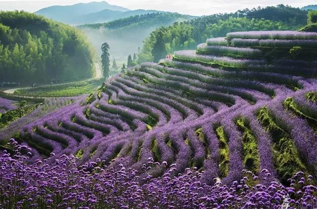 用呗金融平台,用呗金融借款