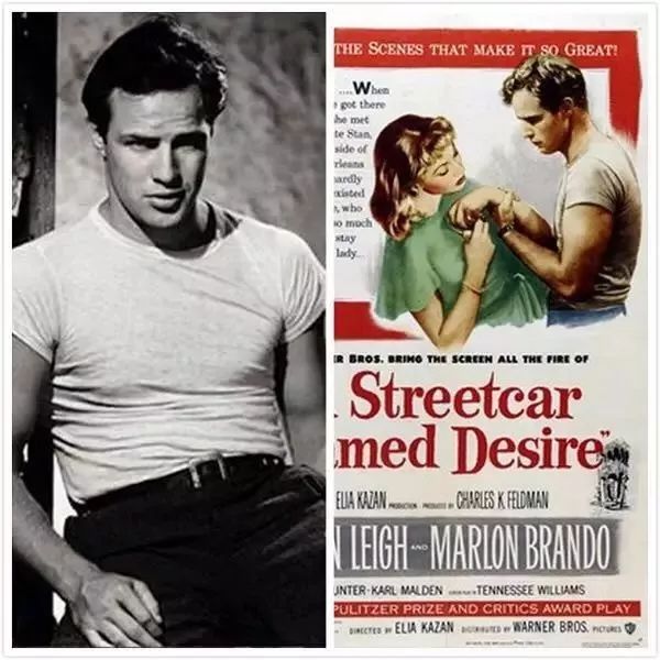 原来白T充满了性暗示？