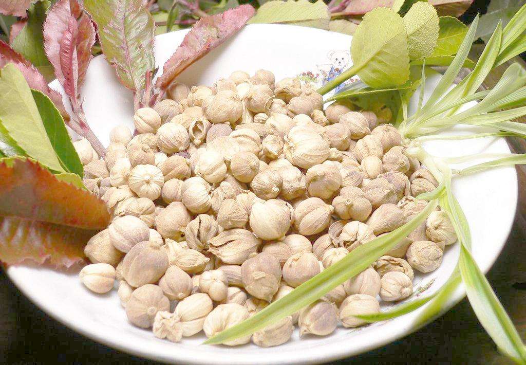 地龙价格行情中药材天地网,中药材金银花最新价格行情