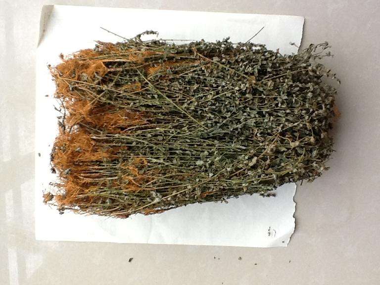 地龙价格行情中药材天地网,中药材金银花最新价格行情