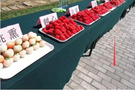 会唱歌的公路原理,会唱歌的公路视频