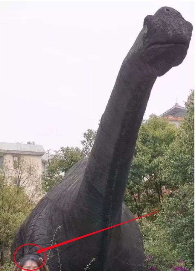 给男朋友科普拍照技巧,拍照技巧男友必学