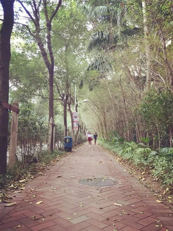 给男朋友科普拍照技巧,拍照技巧男友必学