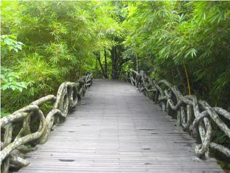 会唱歌的公路原理,会唱歌的公路视频