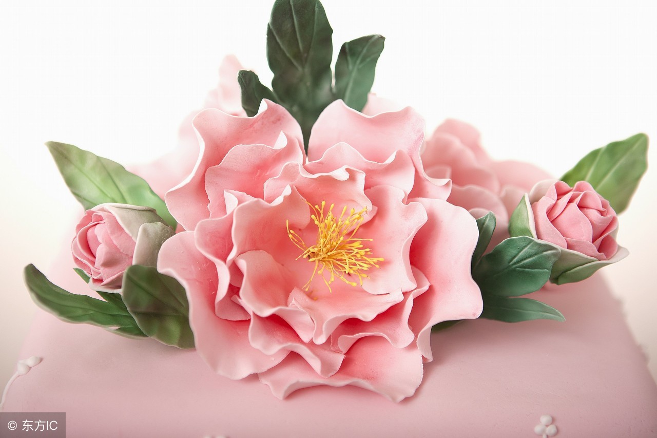 花痴和吃花有什么区别,花痴可以吃花吗