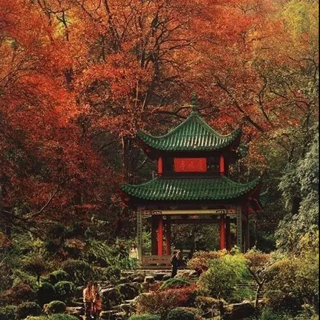 亭台楼阁轩榭廊舫一体的房子,人造亭台楼阁轩榭廊舫靓丽夺目