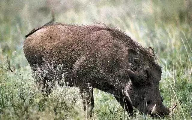 风控的办法有哪些,风控是什么意思多久会消除