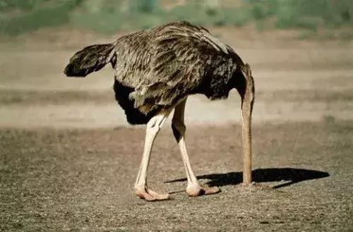 风控的办法有哪些,风控是什么意思多久会消除