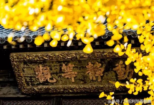 百病生于气，止于音（健康方略，闲时看看）