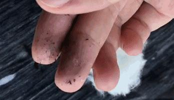 100%正品正宗纯天然桑蚕丝蚕丝被,正品纯手工100桑蚕丝被