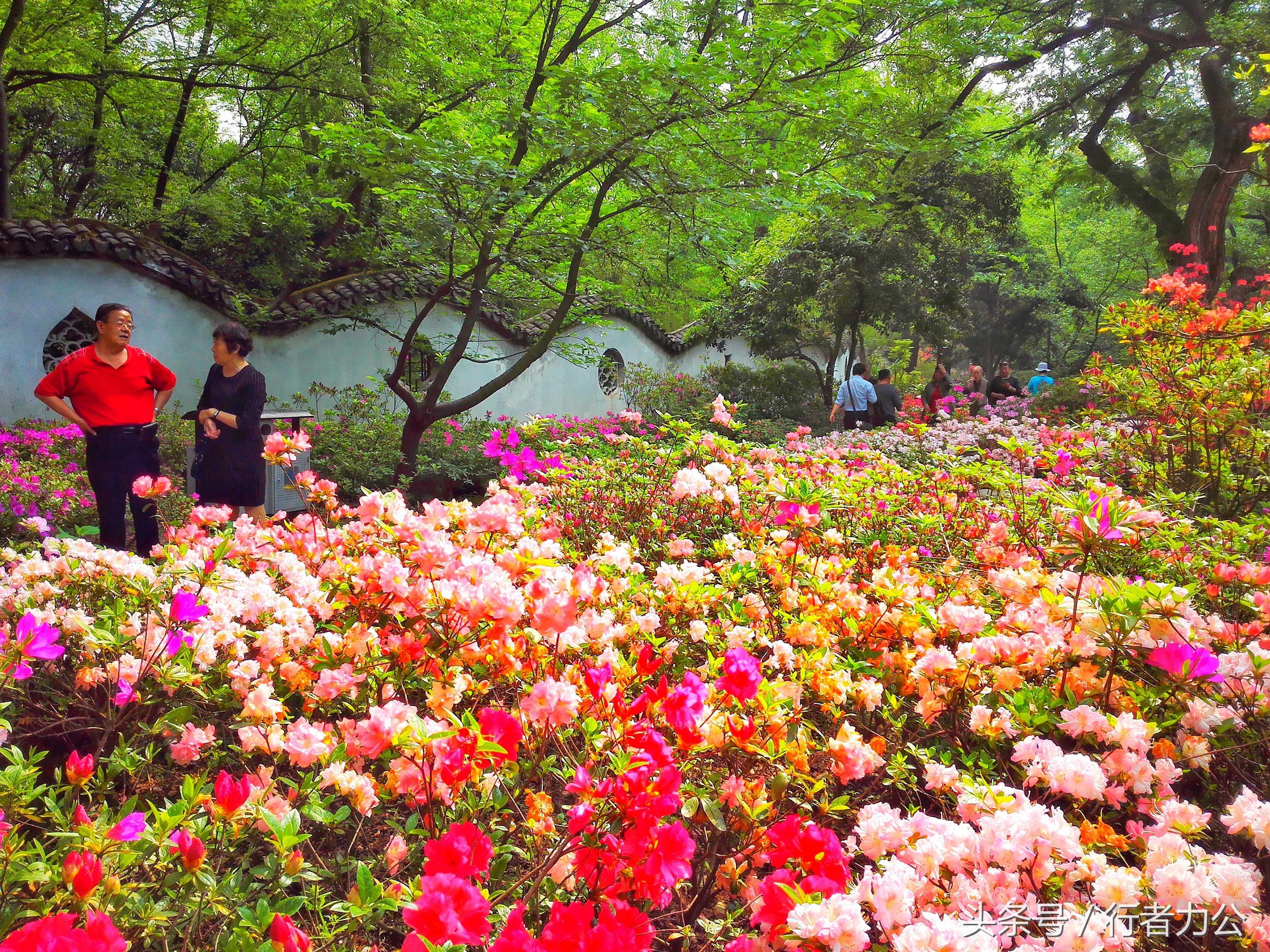 江南第一山惠山视频,惠山为什么叫江南第一山