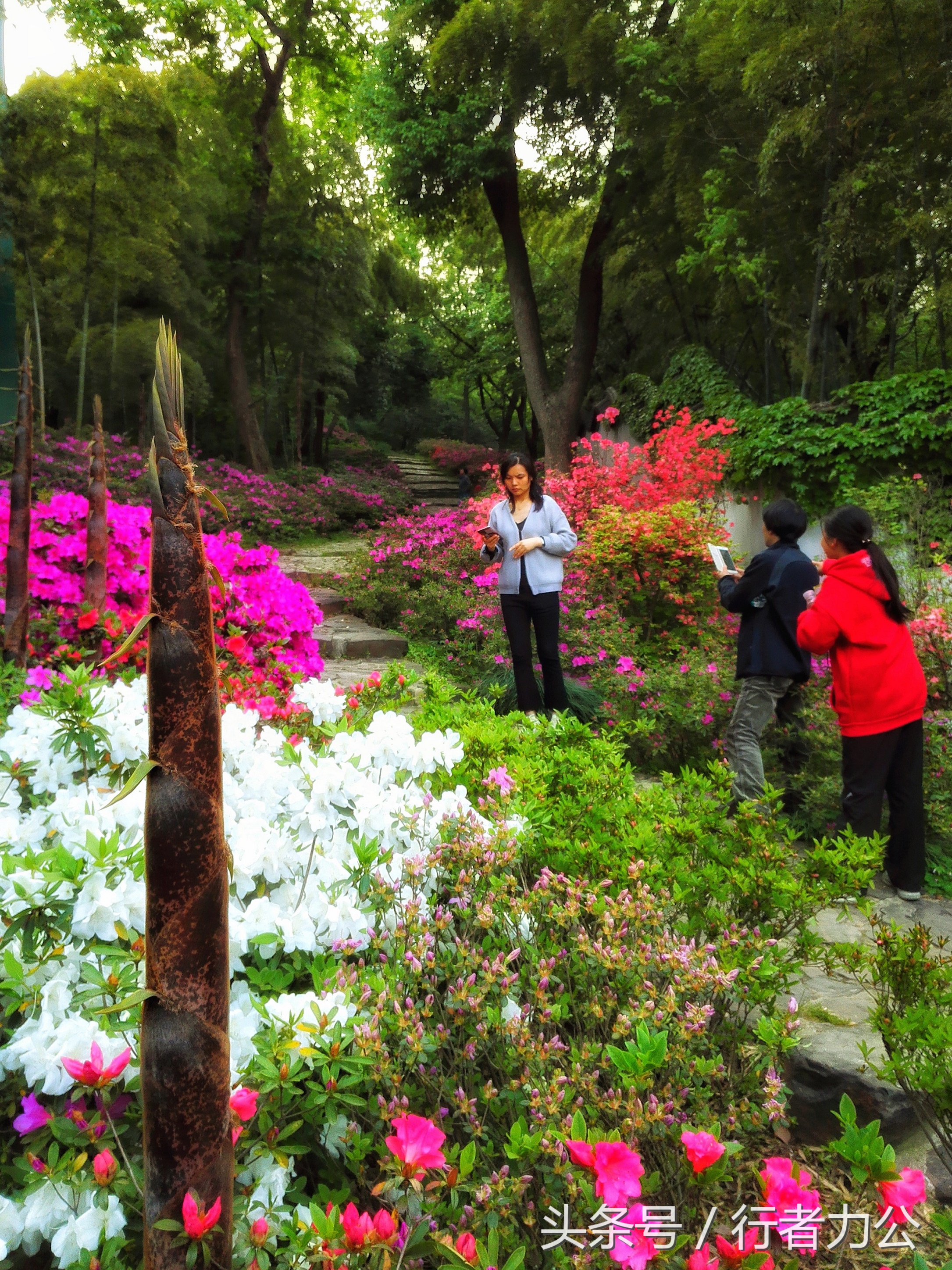 江南第一山惠山视频,惠山为什么叫江南第一山