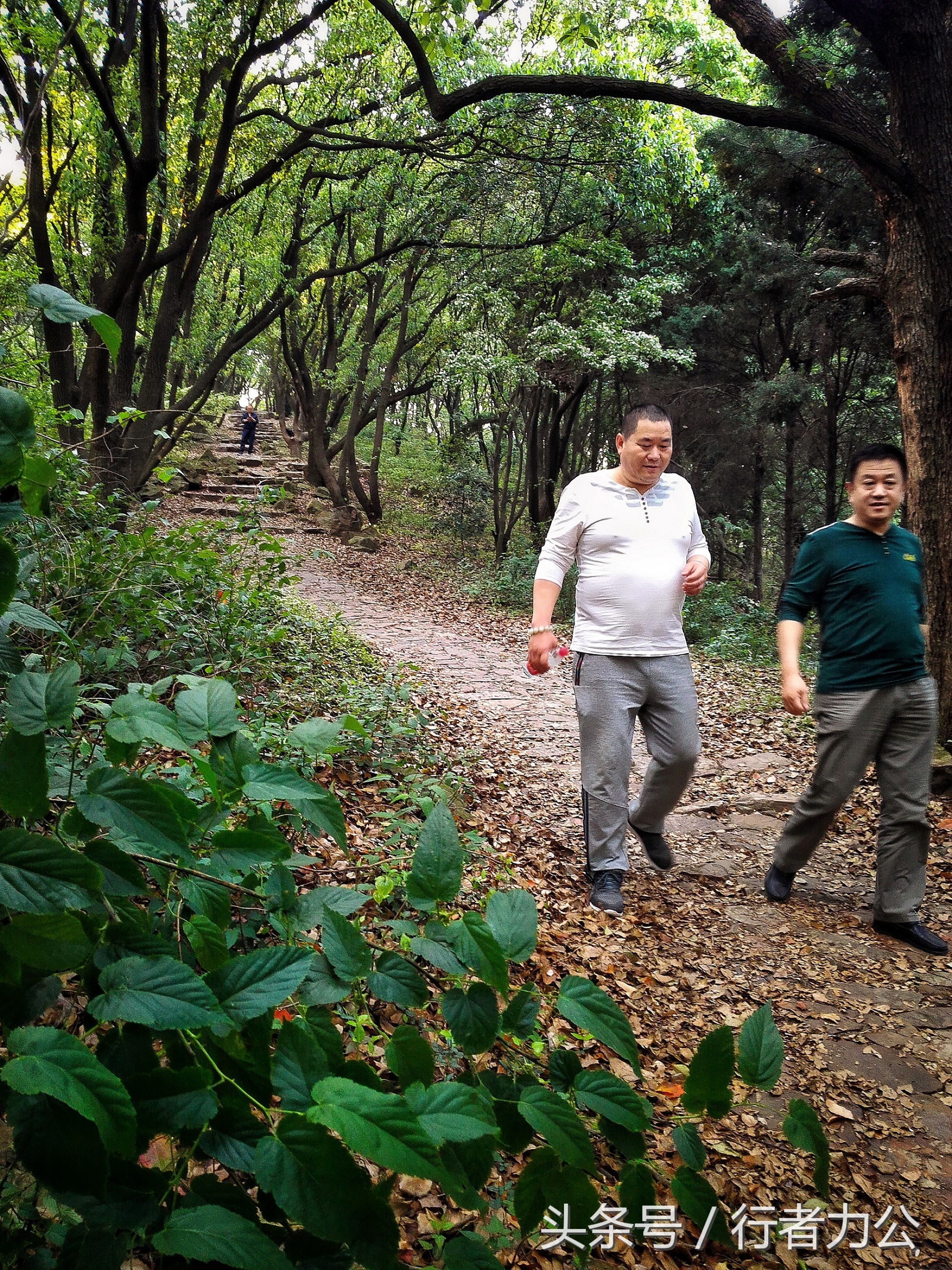 江南第一山惠山视频,惠山为什么叫江南第一山