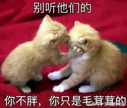 怎样练出貌美修长的大长腿,怎样练出修长的大长腿