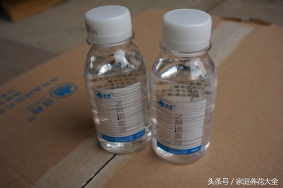 盆栽花卉起虫用什么农药,阳台花卉有虫不要慌