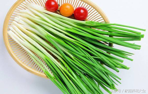 盆栽花卉起虫用什么农药,阳台花卉有虫不要慌