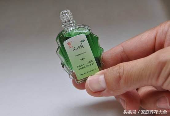 盆栽花卉起虫用什么农药,阳台花卉有虫不要慌