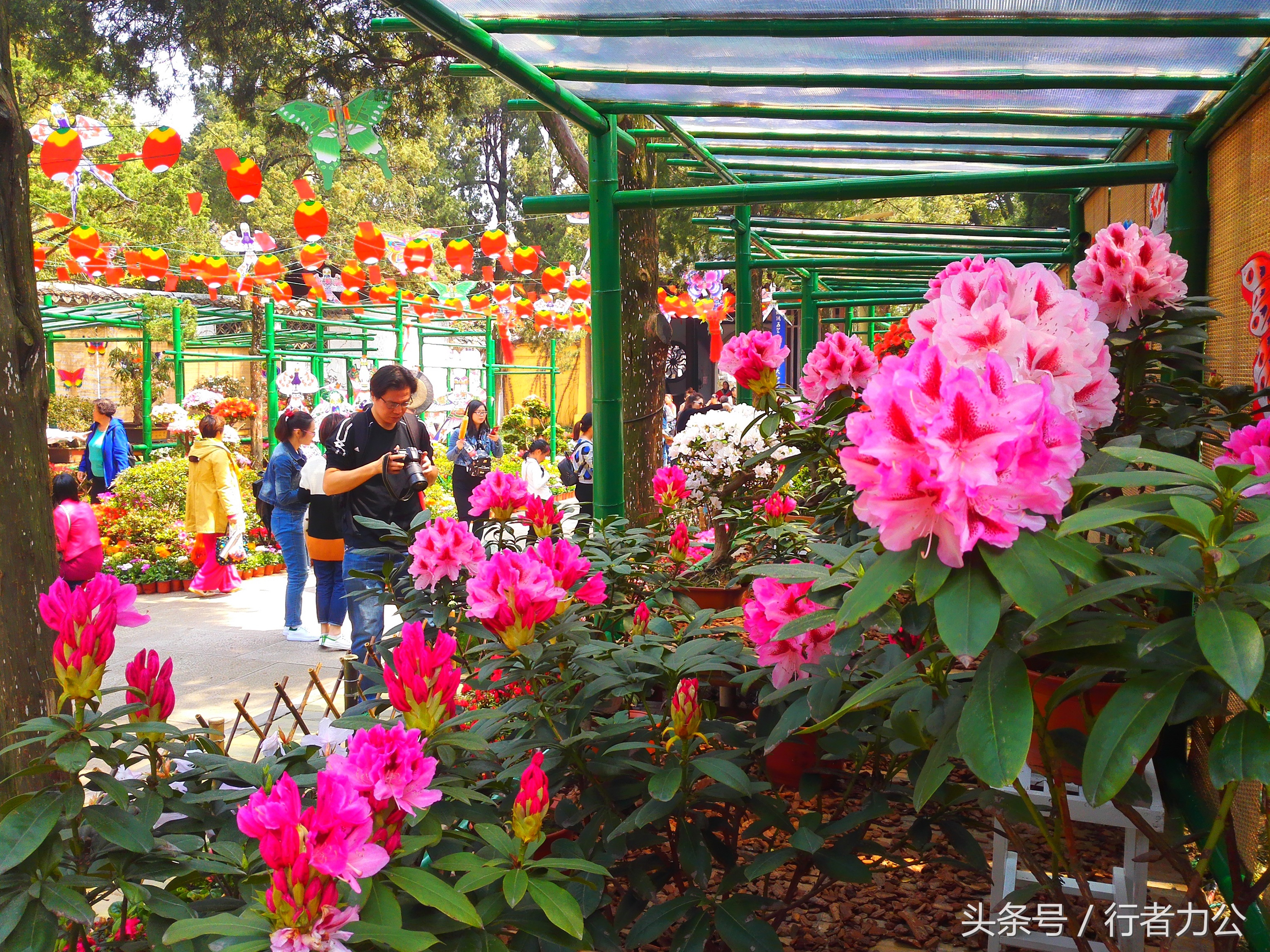 江南第一山惠山视频,惠山为什么叫江南第一山