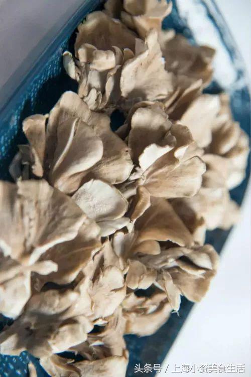 范冰冰火锅,范冰冰火锅视频完整版