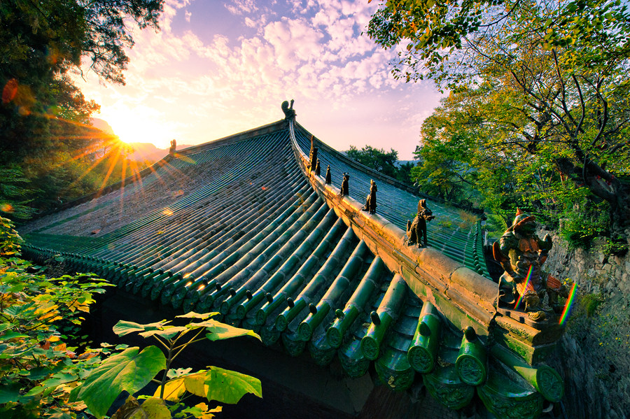 林徽因与灵岩寺铁佛,林徽因的流年似水