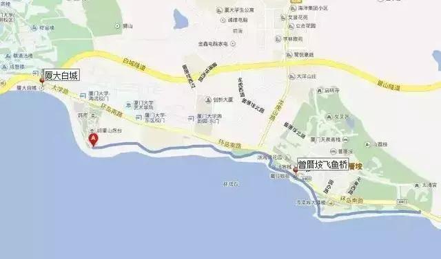 厦门旅游四天四夜攻略自由行,厦门旅游攻略4天详细