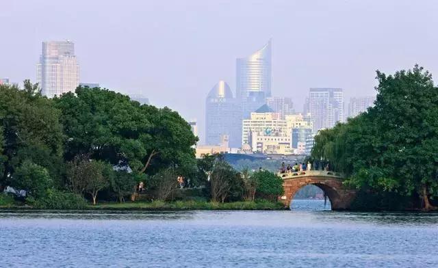 植树造林绿化方案,造林绿化相关标准