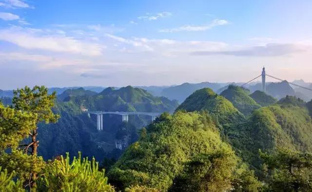 植树造林绿化方案,造林绿化相关标准