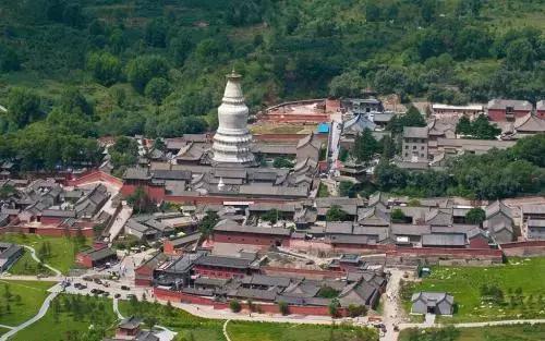 植树造林绿化方案,造林绿化相关标准