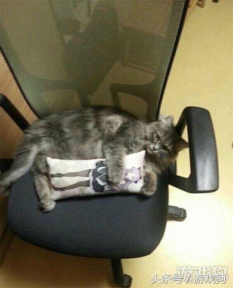 怎么拍出指尖陀螺,陀螺怎么拍出高级感