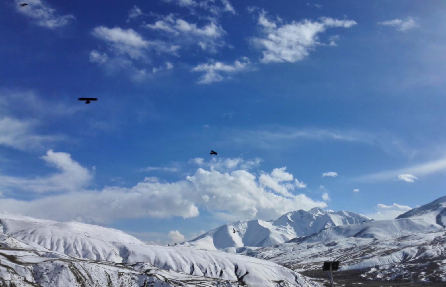 雪域高原：心中怀有暖阳，静候生命花开