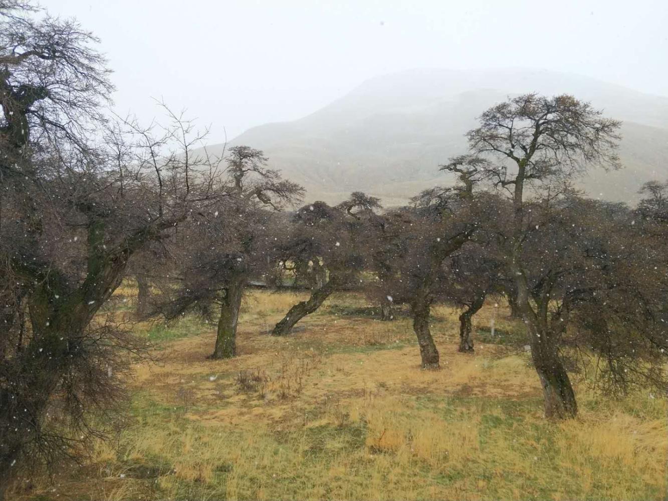 雪域高原：心中怀有暖阳，静候生命花开