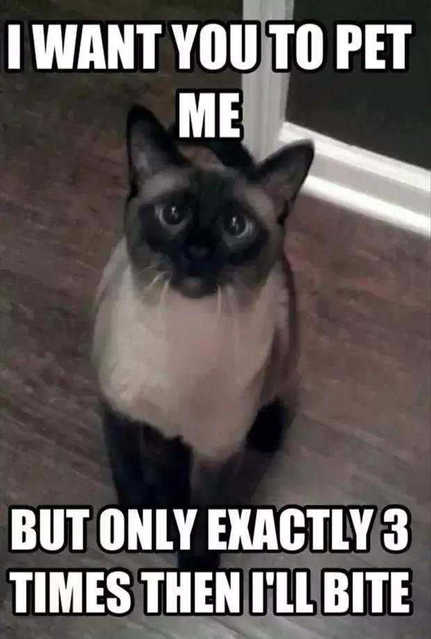 “戏精”动物们在英语里的正确打开方式是……