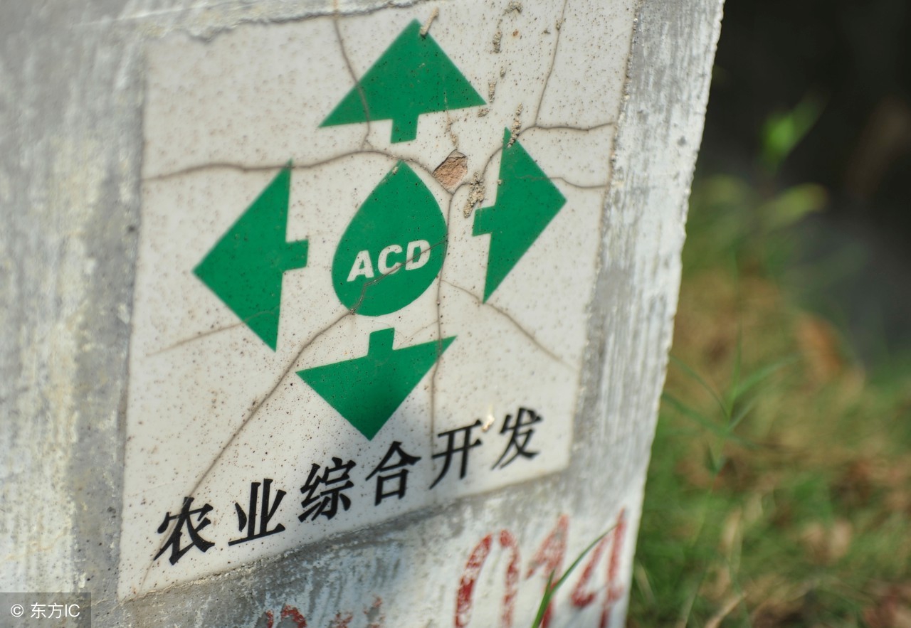 农业田园综合体项目计划书,田园综合农业创业项目