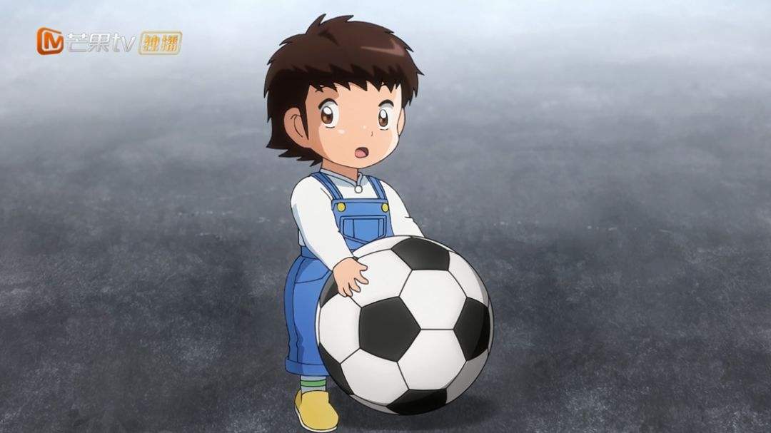 足球小将若林源三,足球小将若林源三全国决赛