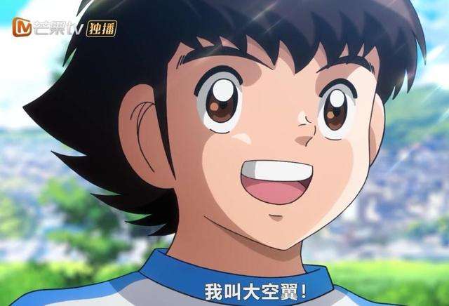 足球小将若林源三,足球小将若林源三全国决赛