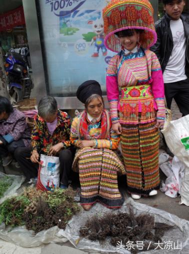 6月18日德昌端午节火爆场面将至,众多中草药先让你辨认,药膳宴等你品尝