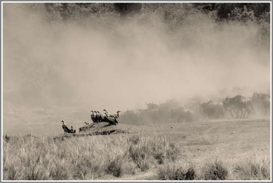 佳能5d2和80d哪个值得入手,80d佳能和5d2