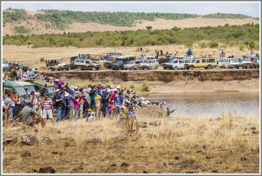 佳能5d2和80d哪个值得入手,80d佳能和5d2