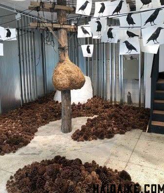 gentlemonster韩国眼镜,gentlemonster墨镜