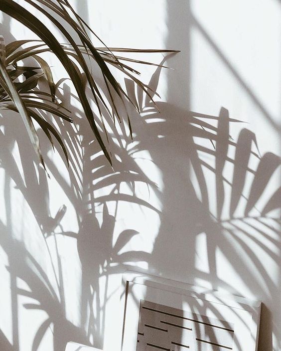 和谐的啪啪啪是相似的，不和谐的啪啪啪各有各的原因