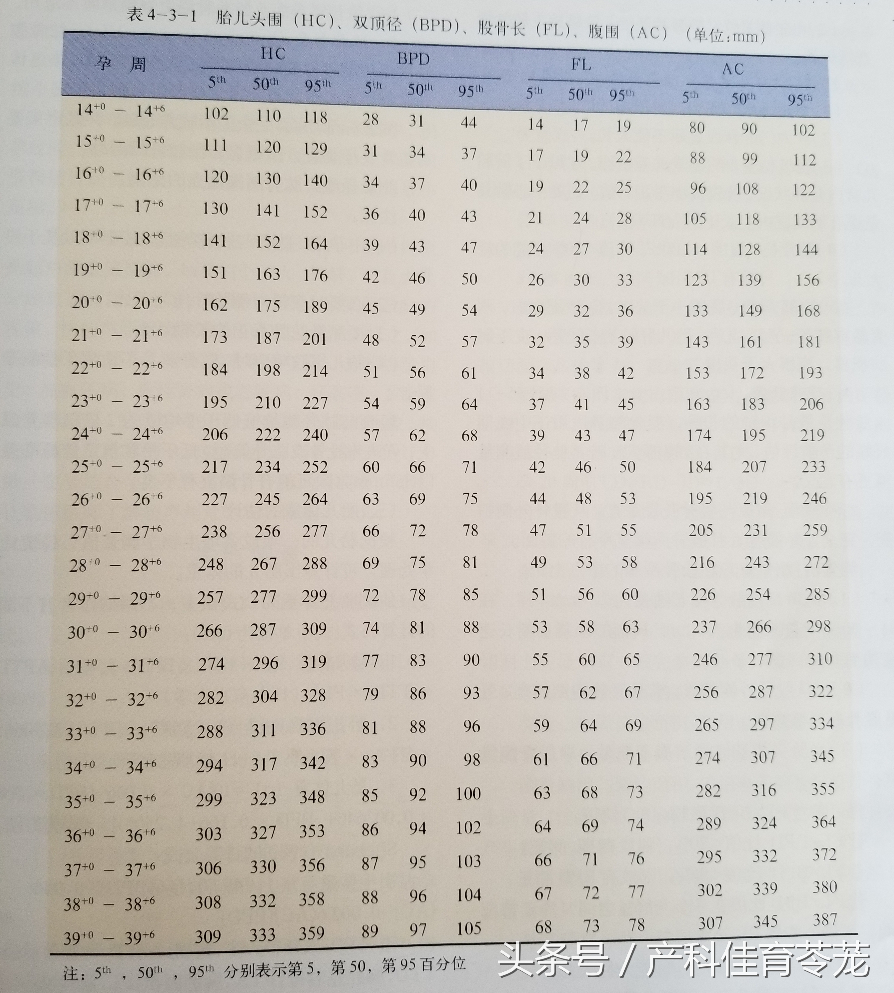 产科彩超报告解读,教您看懂产科超声报告