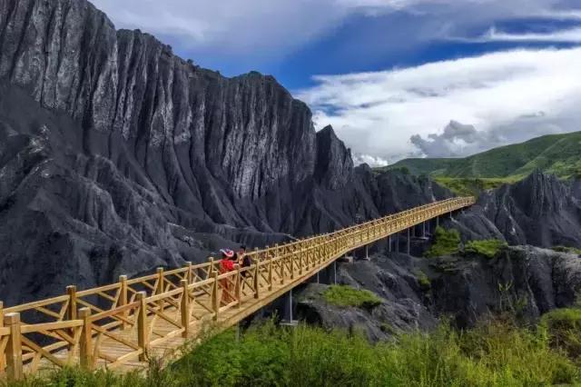 四川青城山景区免票,四川对浙江省免票的旅游景区
