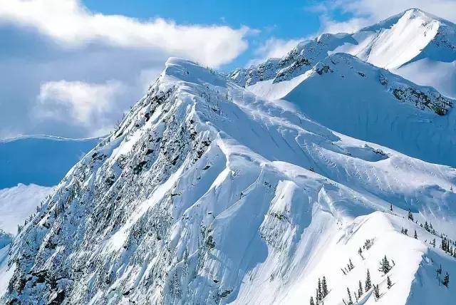 四川青城山景区免票,四川对浙江省免票的旅游景区