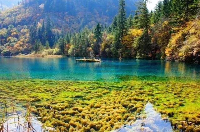 四川青城山景区免票,四川对浙江省免票的旅游景区