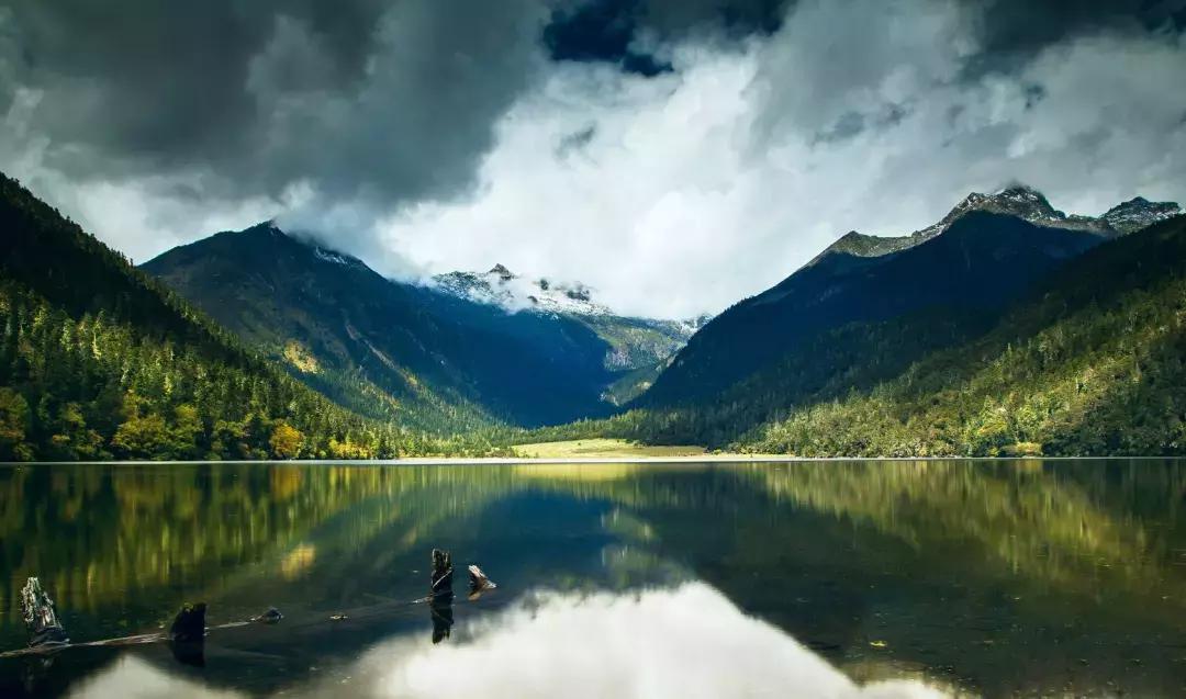 四川青城山景区免票,四川对浙江省免票的旅游景区