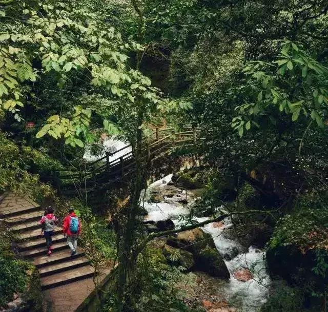 四川青城山景区免票,四川对浙江省免票的旅游景区