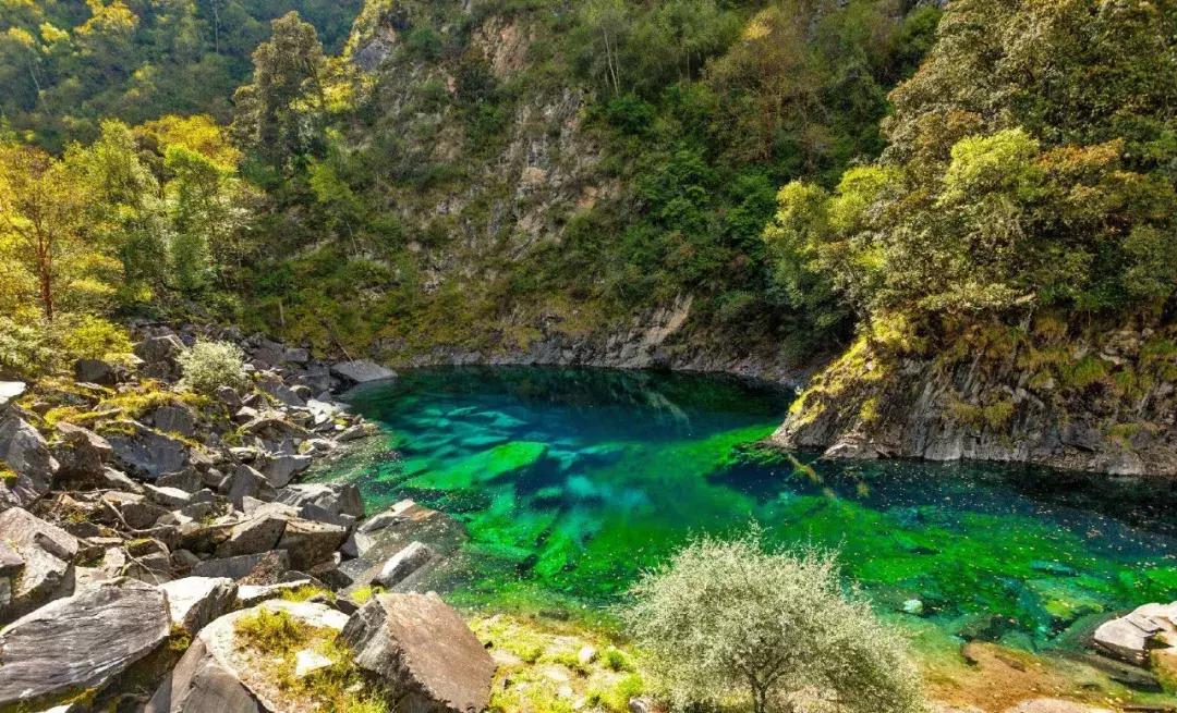 四川青城山景区免票,四川对浙江省免票的旅游景区